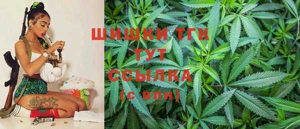 соль ск Бородино