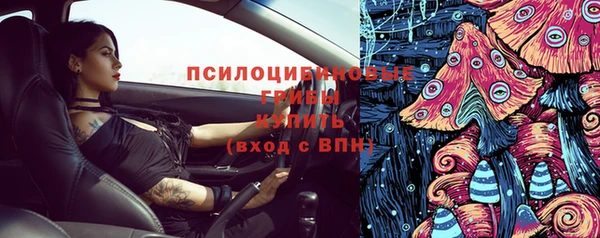 соль ск Бородино