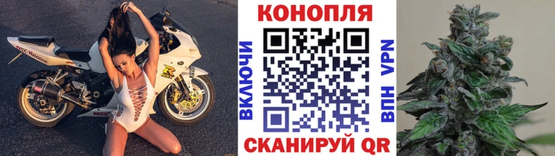 Конопля AK-47  где можно купить   Петров Вал 